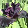 Dark Matter