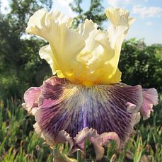 22.08.2017г.