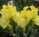 Ritzy